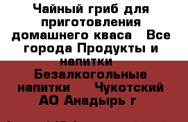 Чайный гриб для приготовления домашнего кваса - Все города Продукты и напитки » Безалкогольные напитки   . Чукотский АО,Анадырь г.